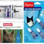 Топ Капки от бълхи за котки, котенца и котки (котешки бълхи капки) Топ Капки от бълхи за котки, котенца и котки