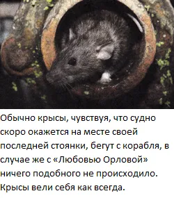 Любов Орлова кораб и призракът - паралелен свят