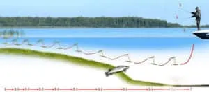 Пайк риболов на воблери - Тайните на успешния риболов