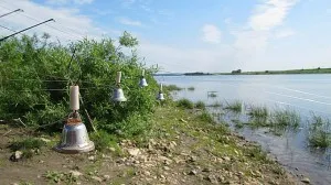 Улавянето сом магаре - подходящото оборудване, най-добрата стръв и местоположение търсенето (риболов) Улавянето сом магаре - подходящото оборудване, най-добрата стръв и търсене на място