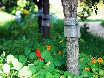 Stalker колани на дървета за производството на инструкция (пъти) Stalker колан на дървета по инструкциите на производителя