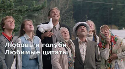 Най-добрите цитати и поговорки за всички поводи