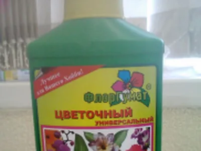 Най-добрият тор за доставката на градината и дома - Цветя енциклопедия