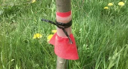 Stalker колан на дървета на инструкциите на производителя (Stalker) Stalker колан на дървета по инструкциите на производителя