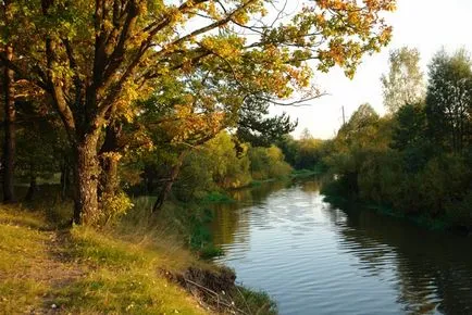 Кефал риболов улов на тази хапка, стръв и стръв, методи за риболов