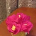 Майсторски клас 