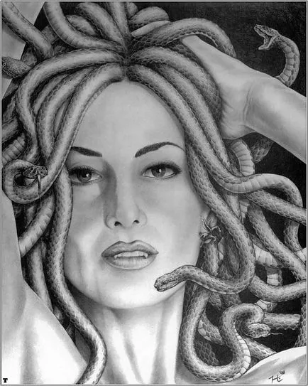 Medusa Pictures