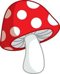 Amanita описание, видове и снимки