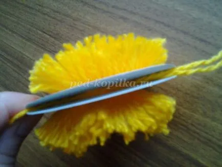Csirke a pompon kezük