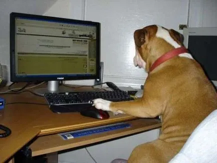 Bohóchal - a program azok számára, akik nem tudják, hogyan kell változtatni a hang Skype