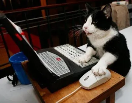 Bohóchal - a program azok számára, akik nem tudják, hogyan kell változtatni a hang Skype