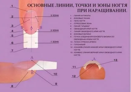 акрилни разширенията на нокти уроци и инструкции стъпка по стъпка - моят живот