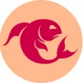 Необичайни цветове за сватбата костюм на младоженеца