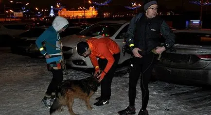 Не е мързелив куче как и защо да се изпълнява с едно куче (никакъв случай невъзможно) Не е мързелив куче как и защо да тичам с кучето