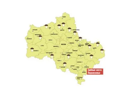 Една добра реколта от гъби
