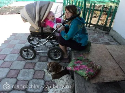 Не повече от моето куче ((((