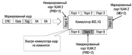 Знайте, Intuit, лекция, виртуална локална мрежа (VLAN)