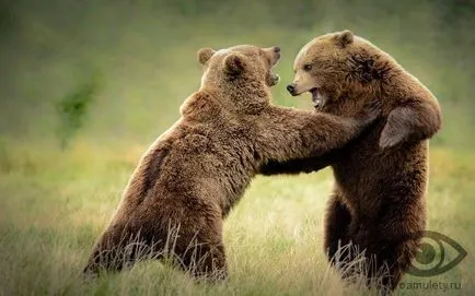 Charm Bear Claw 1