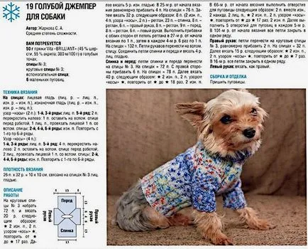 Куче дрехи със собствените си ръце - модел за малки породи със снимки и видео, плетене схема (с ръцете си) Куче дрехи със собствените си ръце - модел за малки породи със снимки и видео, плетене схема