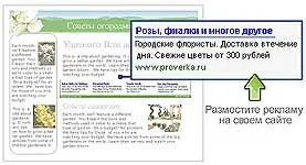 Оптимизация на Google AdSense, за хоста
