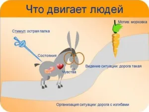 За мотивацията и намеренията