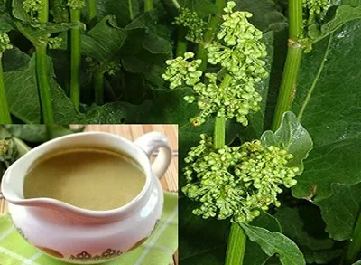 Chromophytosis домашно лечение ranotsvetnogo лишава народни средства