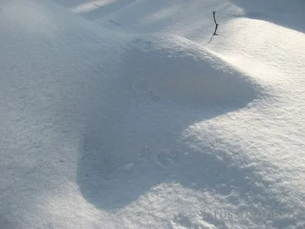 На лов за норки капани
