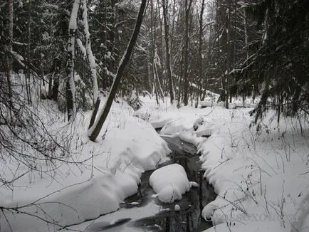 На лов за норки капани