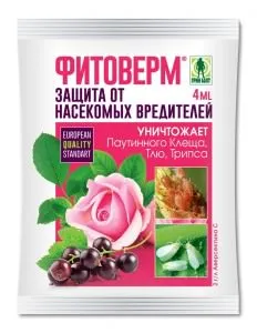 Акарите на краставици - мерки за борба с хората средства, в оранжерията и лекарства