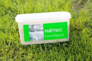 Райграс пасище той е дългосрочна райграс