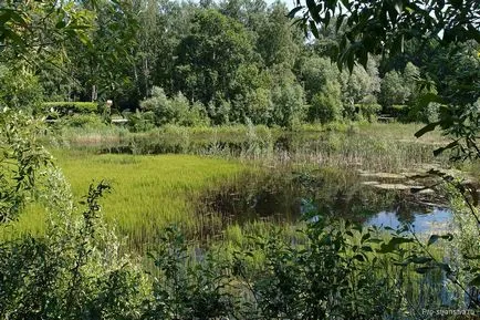 Парк соколари в Москва с кола, метро, както и карта на адрес (изкуствен лед Соколники парк в Москва, за да се достигне, метро и адрес, карта