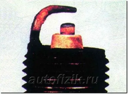 засечка