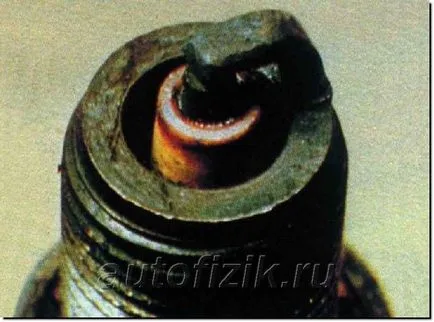 засечка