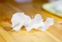 Fabric virágok saját kezével a mester osztály, hogyan lehet fényképet és videót (saját) Fabric virágok saját kezével a mester osztály, hogyan lehet fényképet és videó