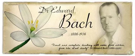 Bach virágesszenciája