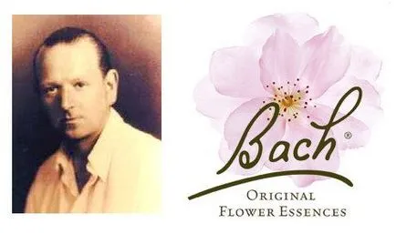 Bach virágesszenciája