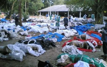 A szökőár Thaiföldön 2004 leírás, képek, film