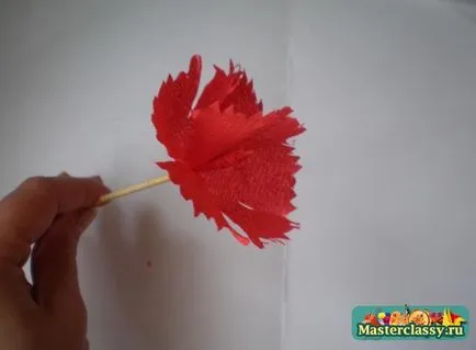 Virágok papírból