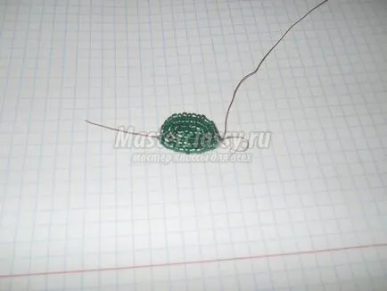 Virágzó kaktusz gyöngyöket a kezét (kaktusz) Virágzó kaktusz gyöngy saját kezűleg