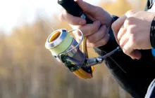 Picker - за какво се включат и берач, цена и как да се направи свои ръце