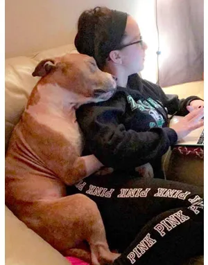 Dog, който е взет от приюта, не престава да прегърнат новия собственик - жена и ден