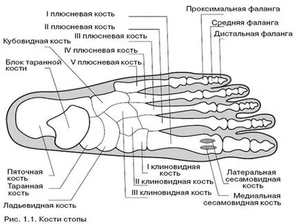 Фрактура на малкия пръст на крака си признаци, симптоми и лечение на народната медицина