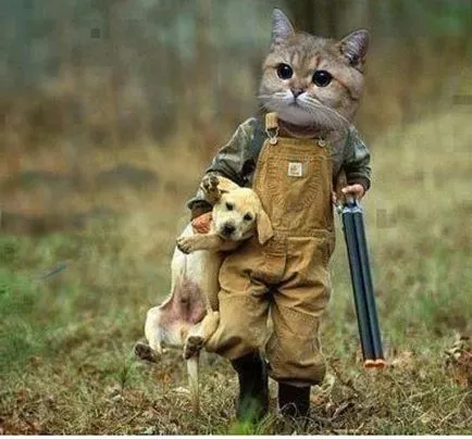 Защо котки и кучета по време на война