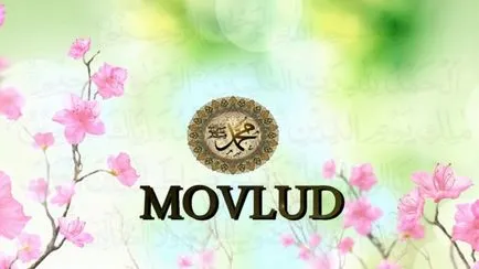 Защо сподвижниците mavlid