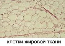 Подкожно мастна тъкан