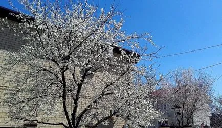 Времето е студено пролет лято 2017, когато той ще бъде топло време