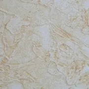 Популярни видове тапети снимки и описания, които са тапети за дома