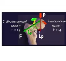 Портал за травматология и ортопедия