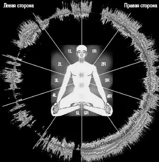 Вярно ли е, че светнали очи по-чувствителни към светлина, отколкото на тъмно