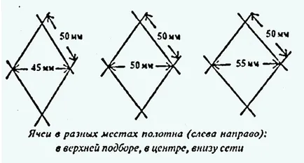 Кацане рибарска мрежа, каракуда, не спи!